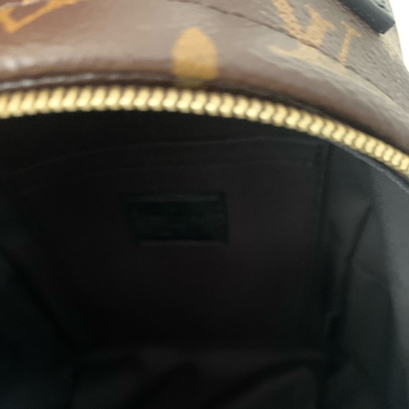 2020 Louis Vuitton Palms Spring Mini💗 - Picture 8 of 9